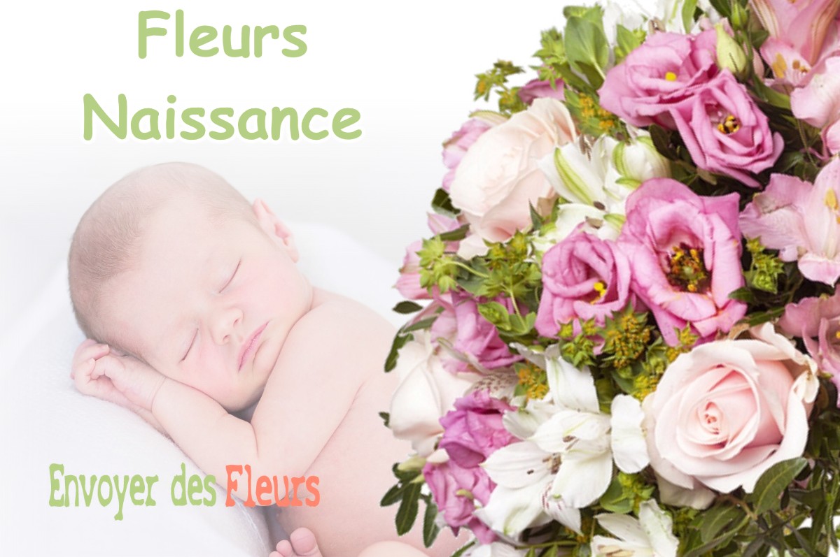 lIVRAISON FLEURS NAISSANCE à CULIN